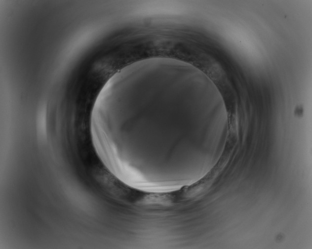 X0000102490526200809051325