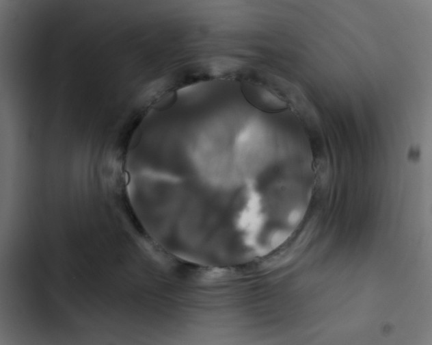 X0000102490527200809051325