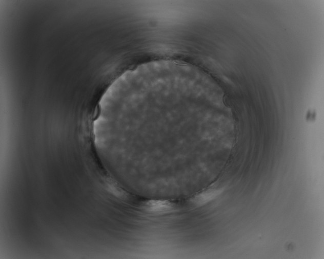 X0000102490528200809051325