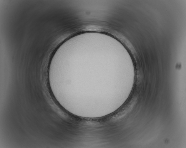 X0000102490529200809051324