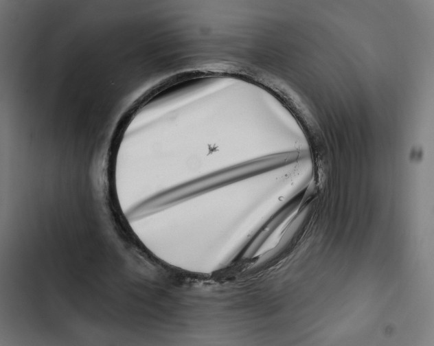 X0000102490532200809051324