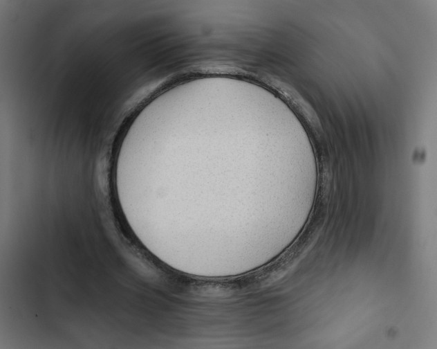 X0000102490533200809051324