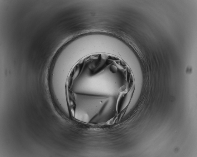 X0000102490534200809051324