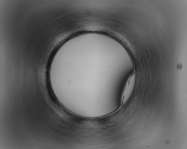 X0000102490535200809051324