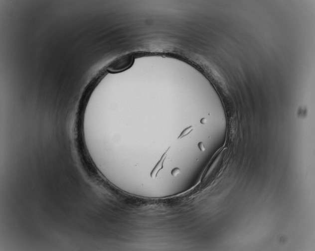 X0000102490536200809051324