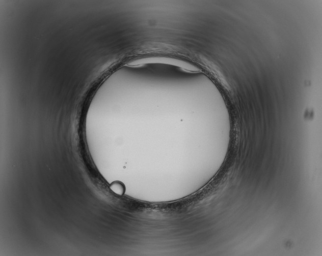 X0000102490538200809051324