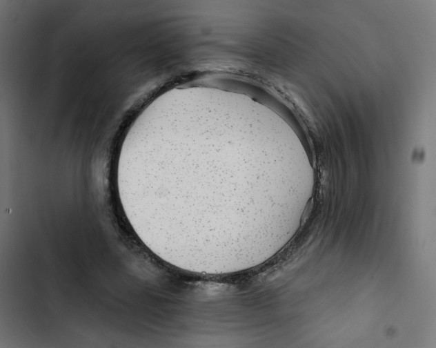 X0000102490539200809051324