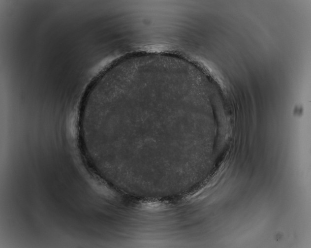 X0000102490540200809051324