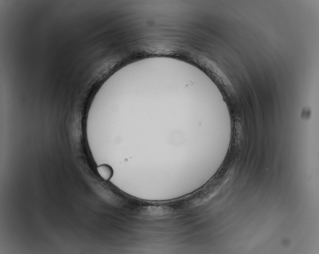 X0000102490541200809051324