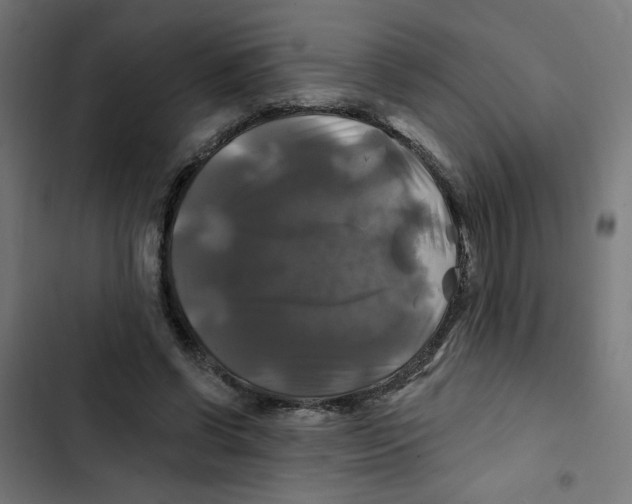 X0000102490542200809051324