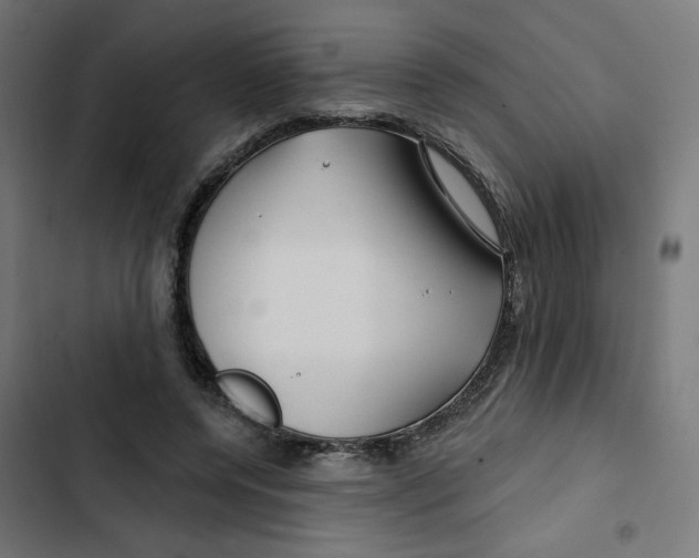 X0000102490544200809051324