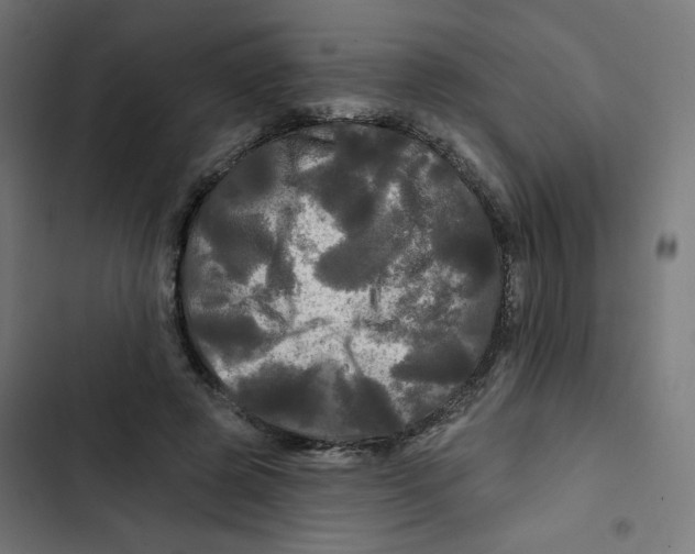 X0000102490545200809051324