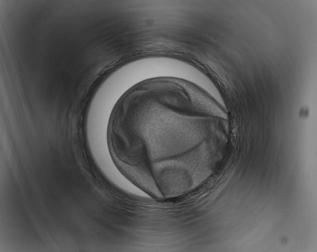 X0000102490547200809051324