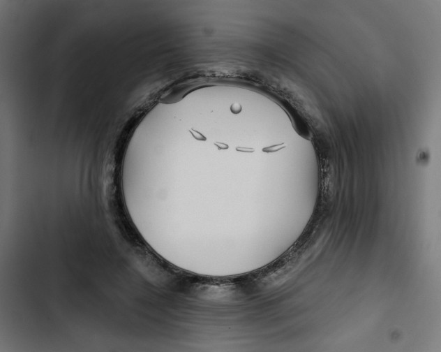 X0000102490548200809051325