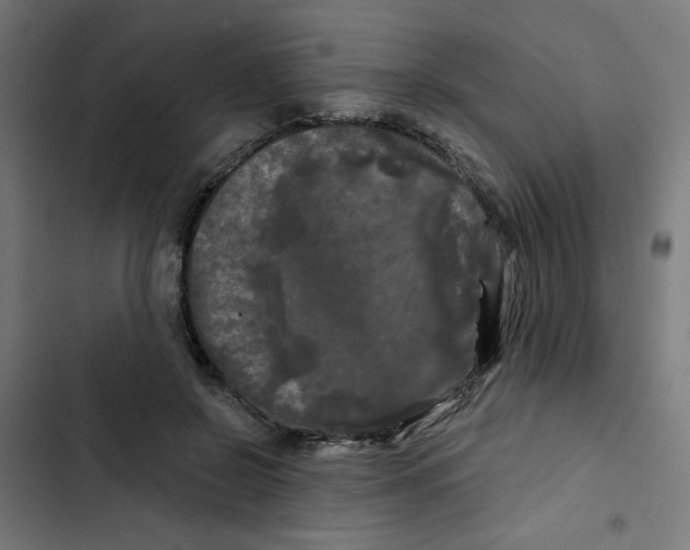 X0000102490550200809051325