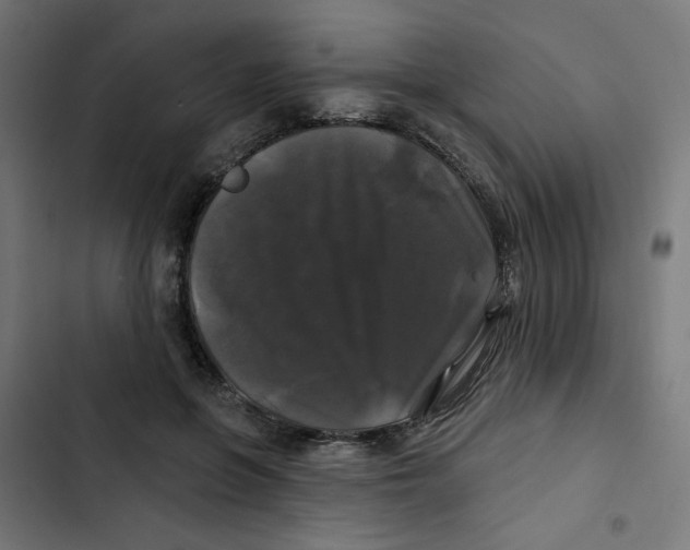 X0000102490551200809051325