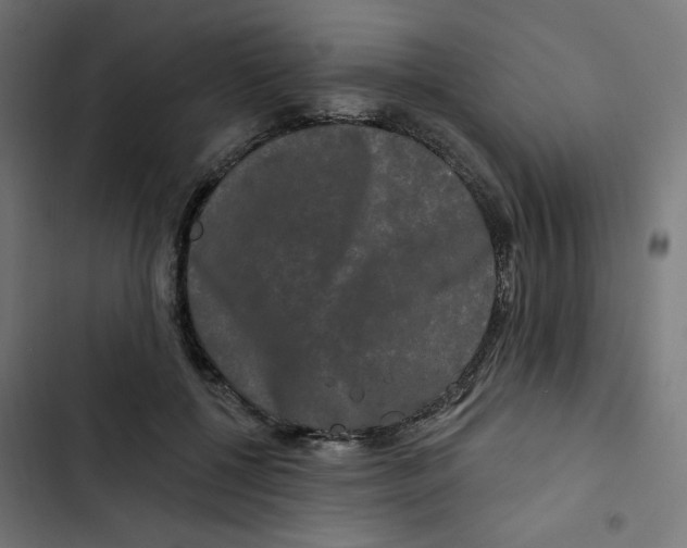 X0000102490552200809051325