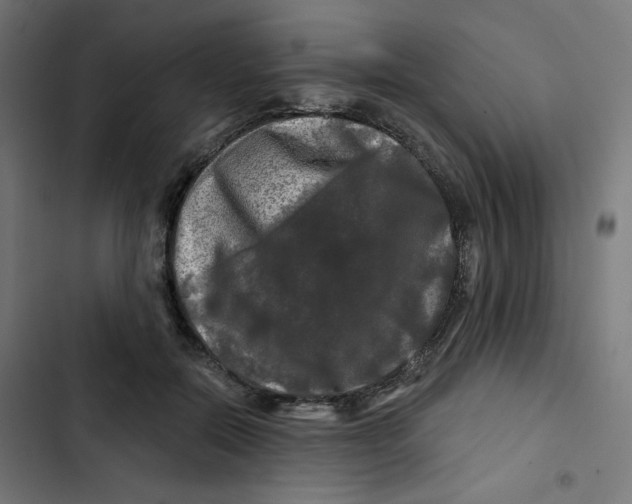 X0000102490554200809051325