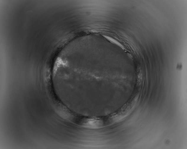 X0000102490555200809051325