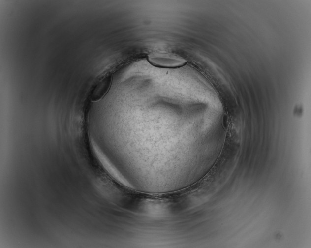 X0000102490556200809051325