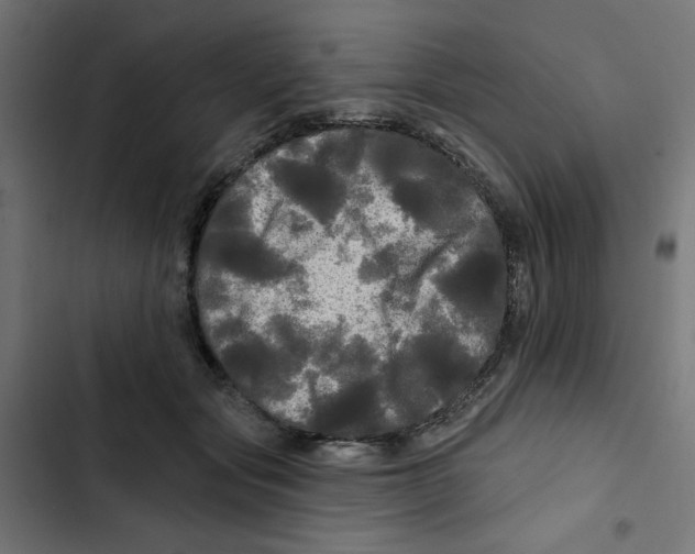 X0000102490557200809051325