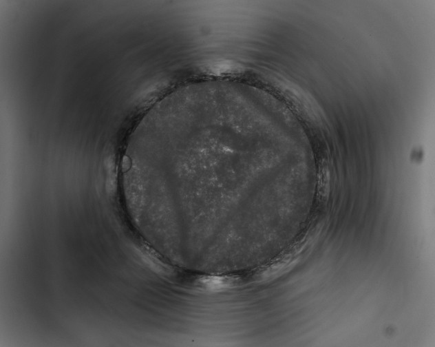 X0000102490558200809051325