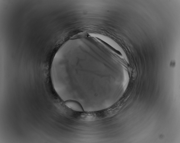 X0000102490559200809051325