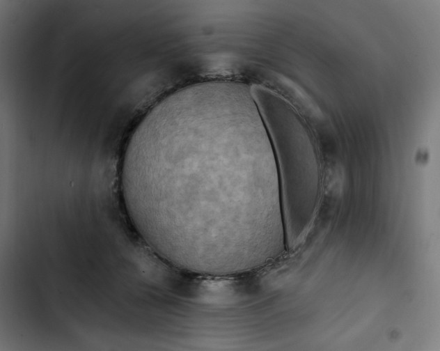 X0000102490560200809051325