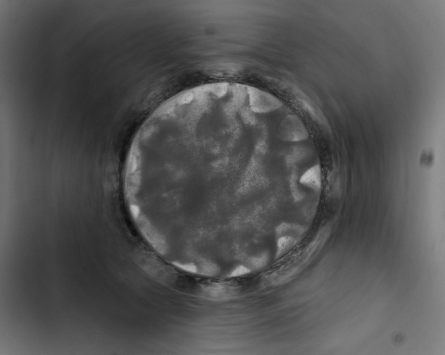 X0000102490561200809051325