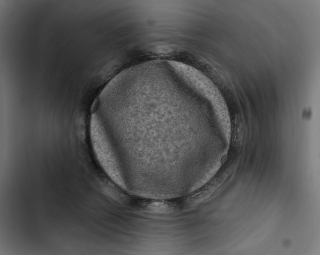 X0000102490562200809051325