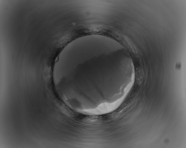 X0000102490563200809051325