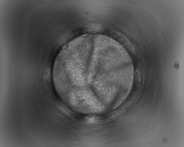 X0000102490564200809051325