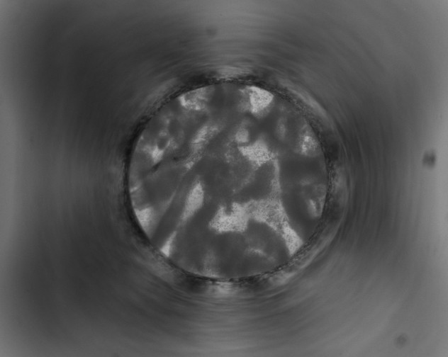 X0000102490565200809051325