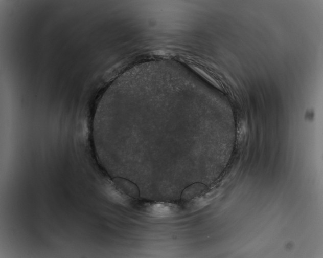 X0000102490566200809051325