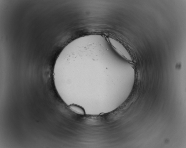 X0000102490567200809051325