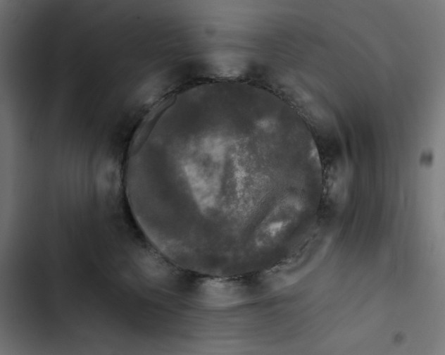 X0000102490568200809051325