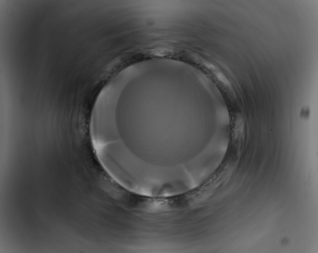 X0000102490569200809051325