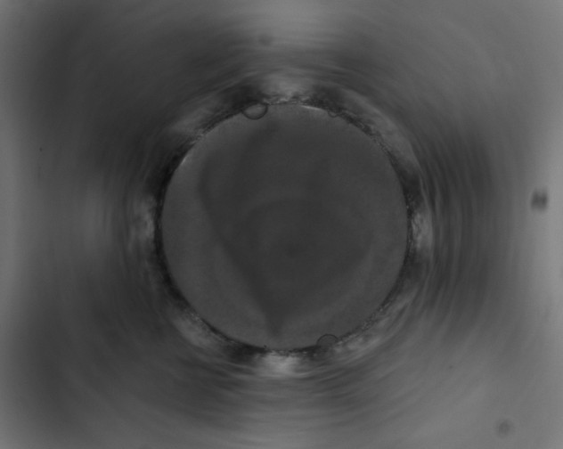 X0000102490570200809051325