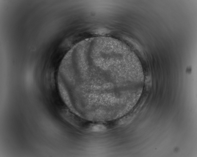 X0000102490572200809051325