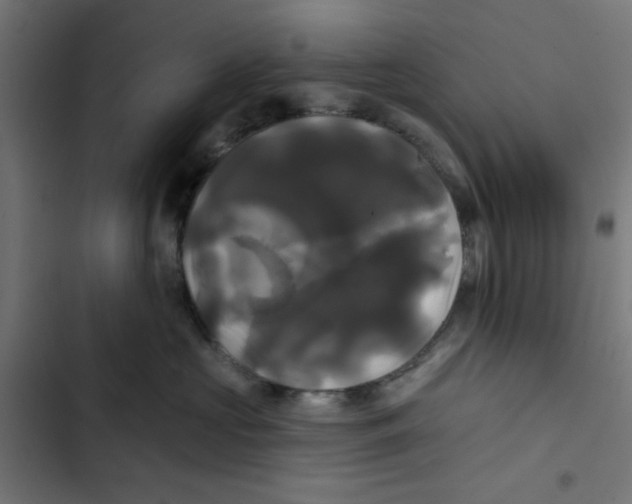 X0000102490573200809051325