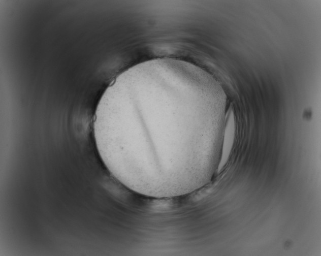 X0000102490574200809051325