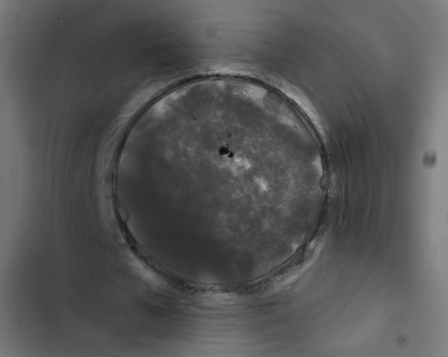 X0000102490577200809051324