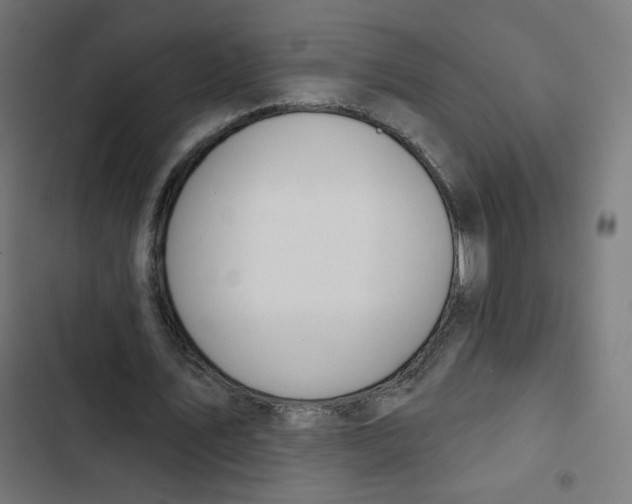 X0000102490579200809051324