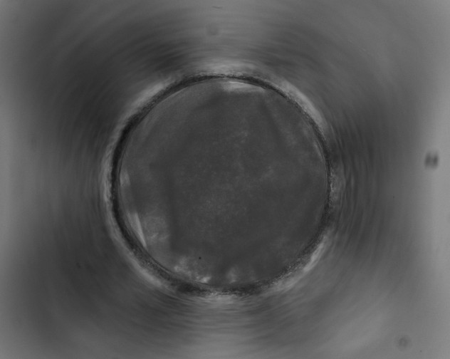 X0000102490581200809051324