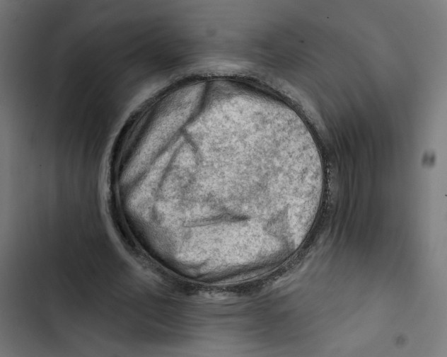 X0000102490582200809051324