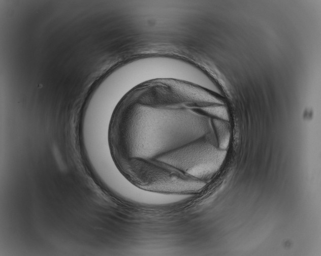 X0000102490585200809051324