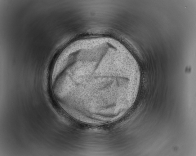 X0000102490586200809051324