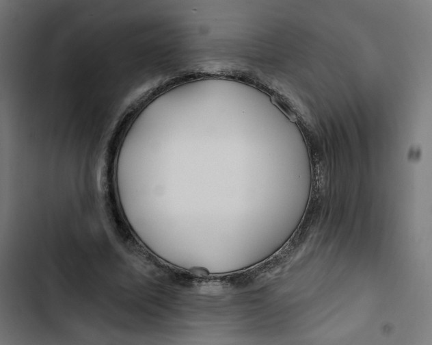 X0000102490587200809051324