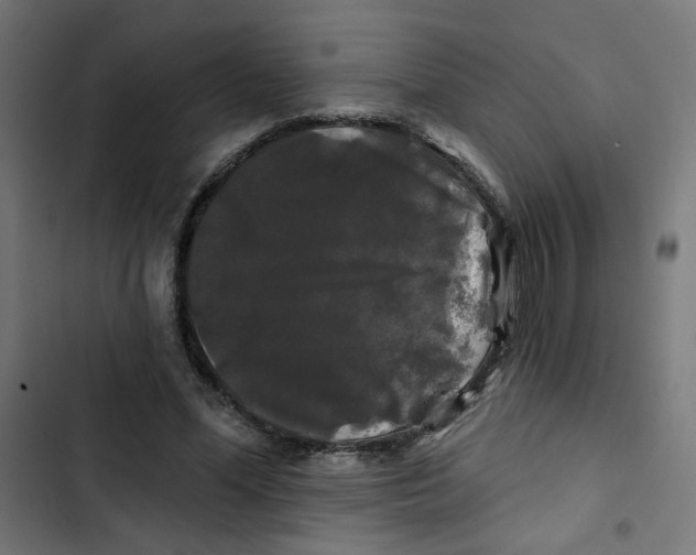 X0000102490588200809051324