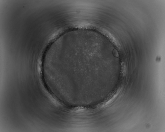 X0000102490589200809051324